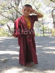 Юный монах
