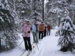 Лыжная прогулка по заповедному лесу